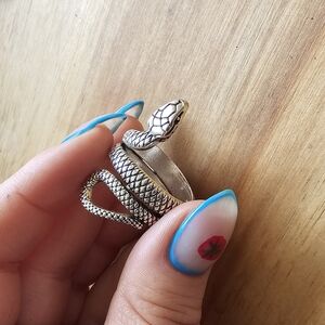 Silver Snake Ring